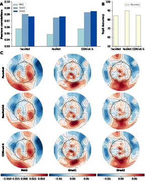 Bar charts compare model similarity and accuracy; nine scalp maps show similarity for three neural networks and MEG sensor types.