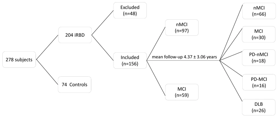 Flowchart of participant recruitment, exclusions, baseline mild cognitive impairment groups and diagnostic outcomes at follow-up.