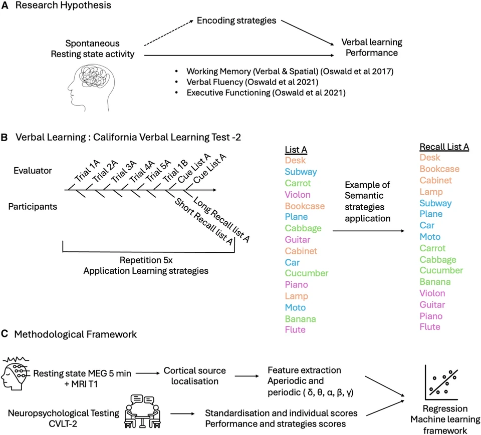 Three-panel study framework: a hypothesis linking resting activity, encoding strategies and learning; a word-list recall task; and a pipeline combining resting MEG features with cognitive scores in regression models.