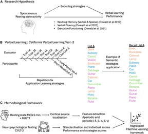 Three-panel study framework: a hypothesis linking resting activity, encoding strategies and learning; a word-list recall task; and a pipeline combining resting MEG features with cognitive scores in regression models.