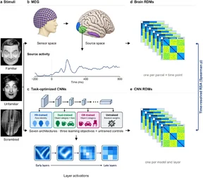 Five-panel study-design diagram showing familiar, unfamiliar and scrambled face stimuli; MEG sensor and cortical source activity; CNNs trained for face identity, objects, or objects including faces; and brain and CNN dissimilarity matrices compared over time.